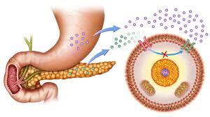 Health Canada: Cập nhật thông tin sản phẩm của các thuốc ức chế SGLT-2 tại Canada